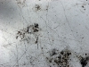 yosikatzurin-2