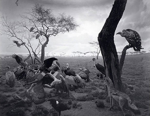 Hiroshi Sugimoto1 Hiroshi Sugimoto1