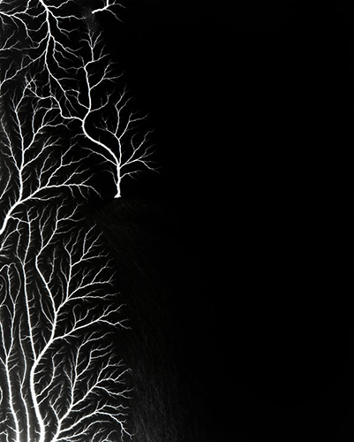 Hiroshi Sugimoto12 Hiroshi Sugimoto12